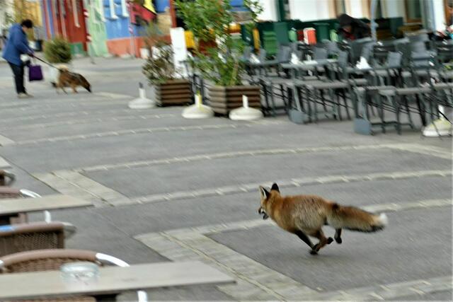 Foto: E. Graf