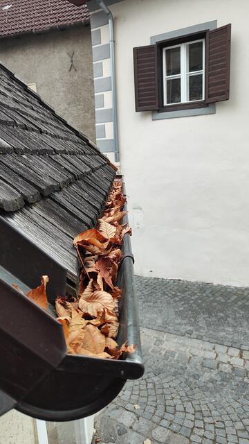 Foto: I.Wozonig