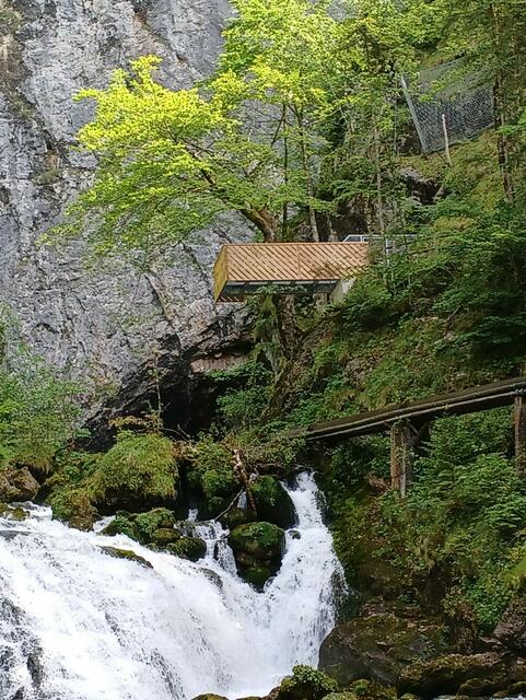 Das Projekt Pießling-Ursprung in Roßleithen ist ein erfolgreiches Beispiel für nachhaltigen Naturtourismus. | Foto: Gemeinde Roßleithen