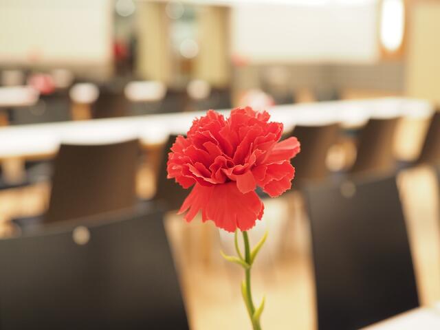 Der SPÖ-Klassiker: die roten Nelken durften als Tischdeko nicht fehlen. | Foto: Santrucek