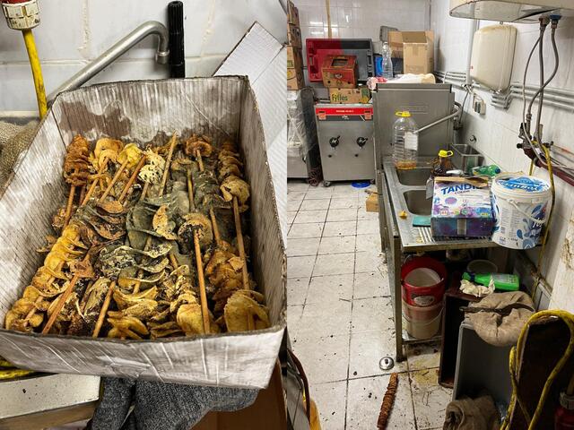 Die Gruppe für Sofortmaßnahmen besuchte die Produktionsstätte in Floridsdorf, nachdem man einige Hinweise aus der Bevölkerung erhalten hat, sagte ein Sprecher gegenüber MeinBezirk.  | Foto: Gruppe Sofortmaßnahmen