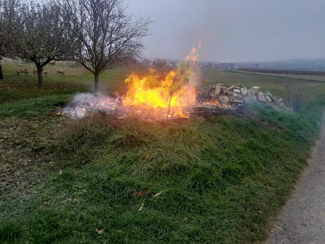 Das offene Feuer war durch entzündeten Grünschnitt entstanden. | Foto: Kral