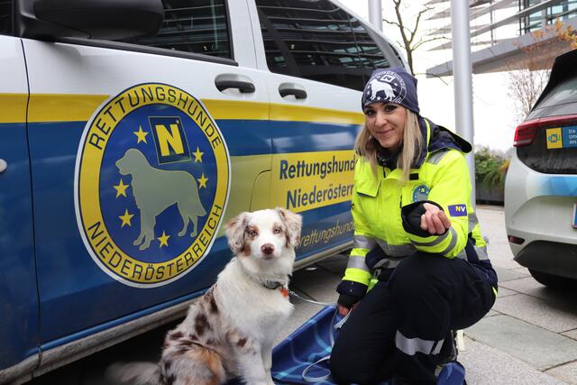 Katja Lager und Hündin Holly waren von den Rettungshunden Niederösterreich vertreten.