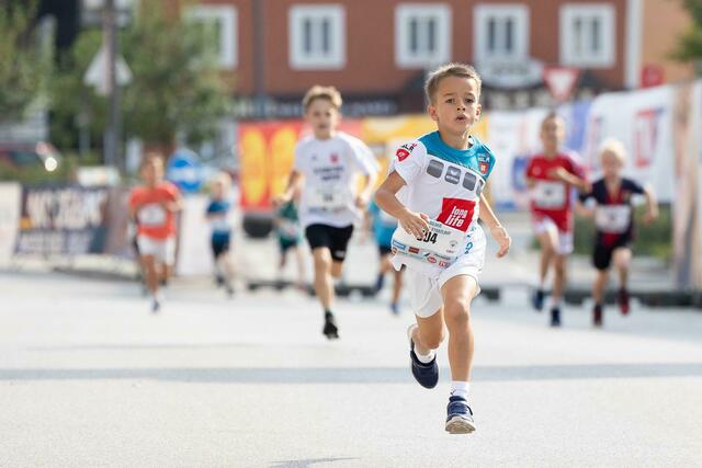 Foto: Igla