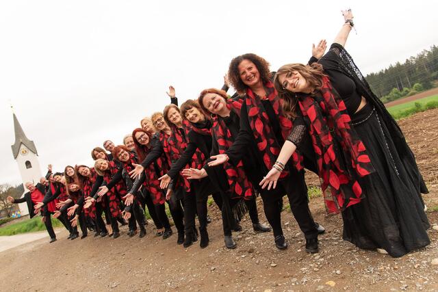 Die Projern Gospel Singers sind auf Schloss Albeck zu Gast. | Foto:  Privat