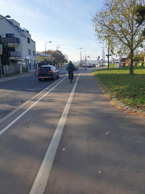 Trotz großer Mühe: Nur ein Radfahrer war in der Wundtgasse zu finden… | Foto: Heinz Flickschuh/Grüne Meidling