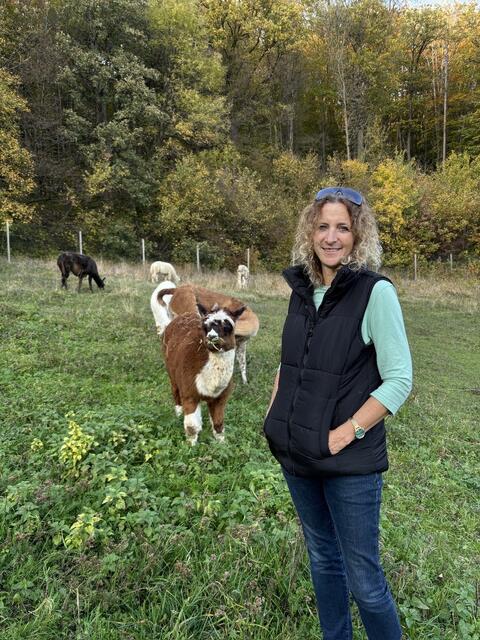 Das Alpaka "Diego" genießt das frische Gras | Foto: Lauren Seywald