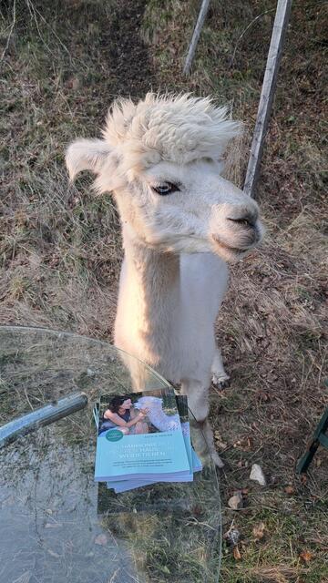 "Pato" mit dem neuen Buch von Astrid Herler "In Harmonie mit unseren Haus- und Weidetieren" | Foto: Astrid Herler