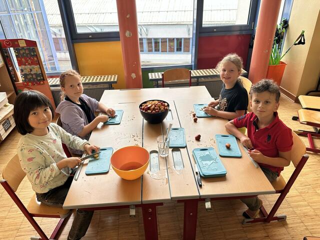 Die Schülerinnen und Schüler ernteten ihre Erdäpfel und bereiteten auch selbst das Festmahl zu. | Foto: VS Mondweg