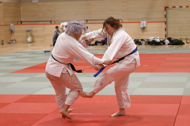 Auch die Damen gaben auf der Matte alles. | Foto: Daniel Reicht