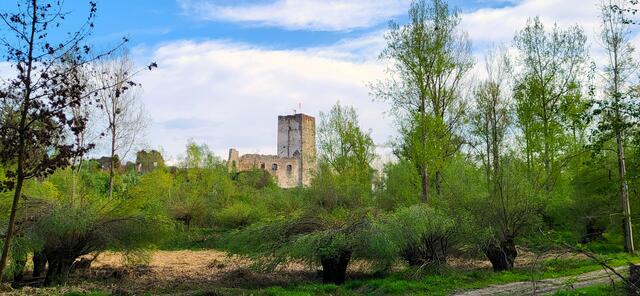 Historische Juwel Spilberg - die riesige Mauer im linken Bildteil wurde vor dem Einsturz bewahrt. | Foto: Eckhart Herbe