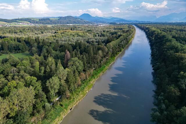 Der Blick Richtung Süden, Richtung Stadt Salzburg, von der Antheringer Au aus mit dem Auwald und der noch schnurgeraden Salzach. Links Salzburg, rechts Bayern. | Foto: Land Salzburg/Melanie Hutter