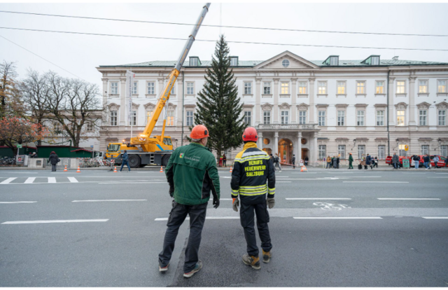 Berufsfeuerwehr und Stadtgärten arbeiteten Hand in Hand beim Aufstellen des Baumes. | Foto: Stadt Salzburg