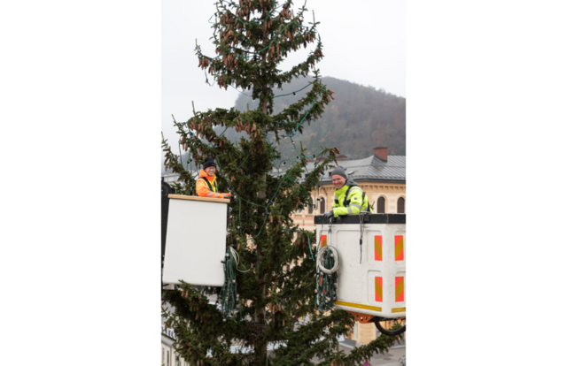 Nach dem Aufstellen geht es ans Aufschmücken des Christbaums vor dem Schloss Mirabell. | Foto: InfoZ / Hendrik Stoltenberg