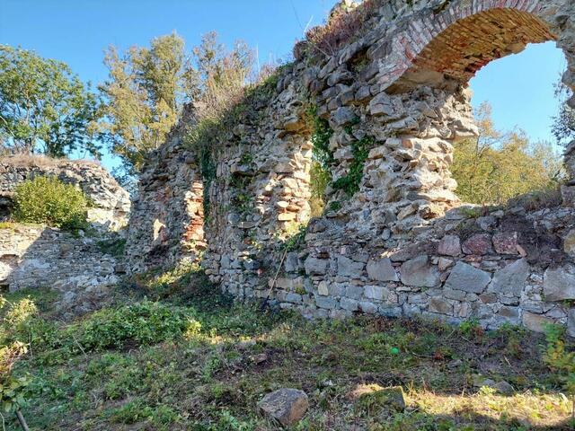 Büsche und Schlingpflanzen haben mit ihren Wurzeln das teils meterdicke Mauerwerk stark in Mitleidenschaft gezogen. | Foto: Burgverein Spilberg