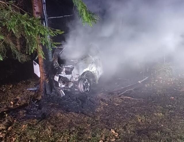 Das ausgebrannte Unfallfahrzeug nach dem Krasch in Soboth. | Foto: BFVDL