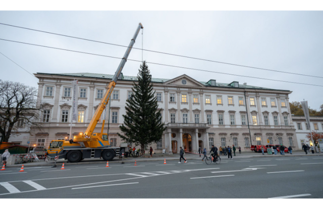Den Platz vor dem Hauptsitz der Salzburger Stadtverwaltung ziert heuer eine „Kärntnerin“ - eine 21 Meter hohe, 44 Jahre alte und 4,2 Tonnen schwere Fichte aus Rennweg am Katschberg. Sie wurde gestern aufgestellt. | Foto: Stadt Salzburg