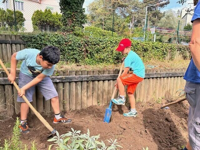 Die Samen wurden sorgfältig gepflanzt. | Foto: VS Mondweg