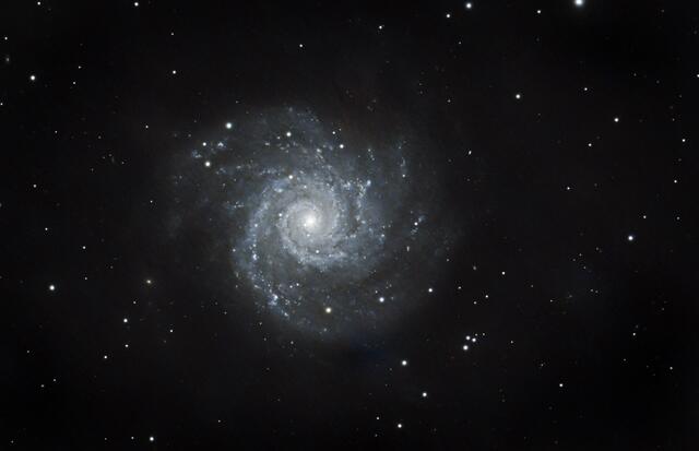 Die Phantomgalaxie Messier 74 im Sternbild Fische | Foto: Günter Kleinschuster