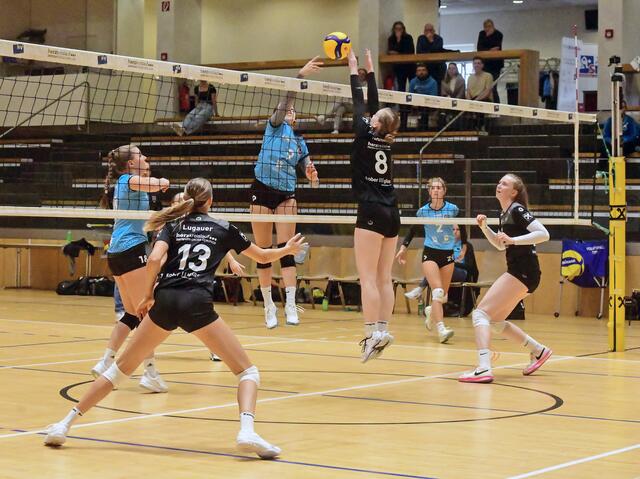 Heimspiel der 2. Bundesliga Damen.