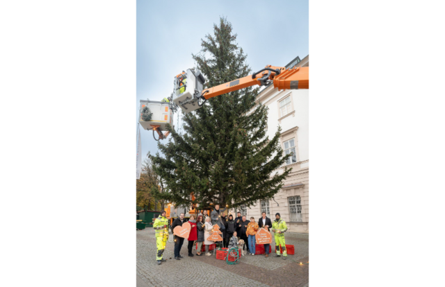 Mitglieder des Salzburger Gemeinderats vor dem von vielen einhellig als „ausnehmend schön“ bezeichneten Nadelbaum vor Schloss Mirabell. | Foto: Stadt Salzburg / Alexander Killer