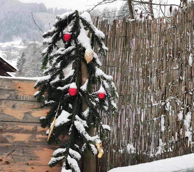 Foto: zVg