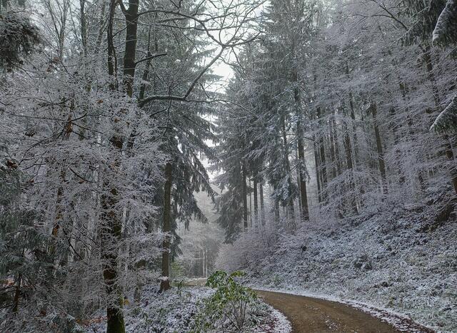 Foto: H. Bachinger