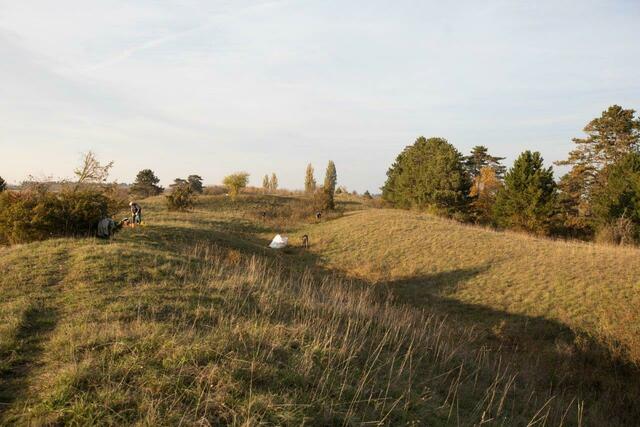 Foto: Schernhammer