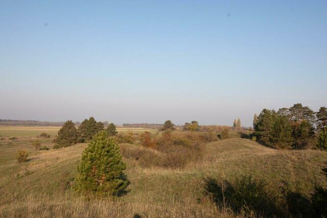 Foto: Schernhammer