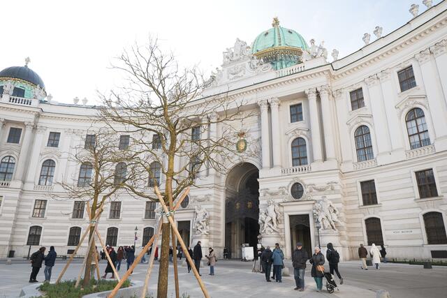 Der Michaelerplatz erstrahlt im neuen Look. | Foto: Maximilian Spitzauer/MeinBezirk