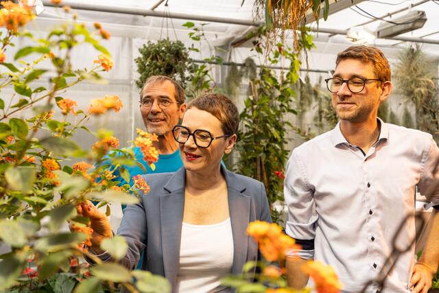 Im vergangenen Jahr gelang es den Gärtnerinnen und Gärtnern sogar, eine Nachzucht bis zum Schlupf zu realisieren.  | Foto: Stadt Linz