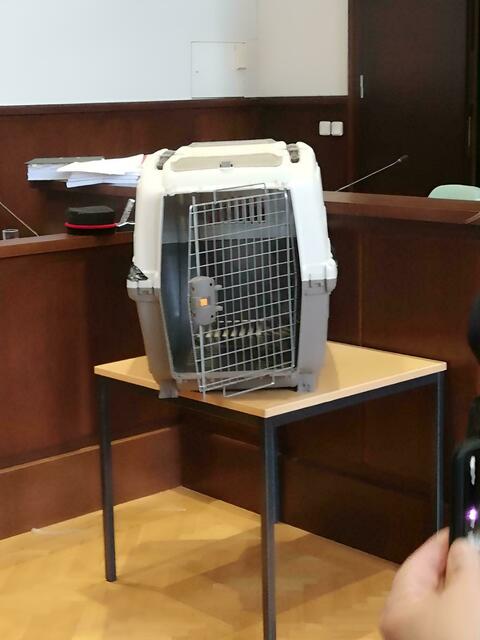 In dieser Box wurde der Bub stundenlang von seiner Mutter eingesperrt und gequält. | Foto: Kurt Berger