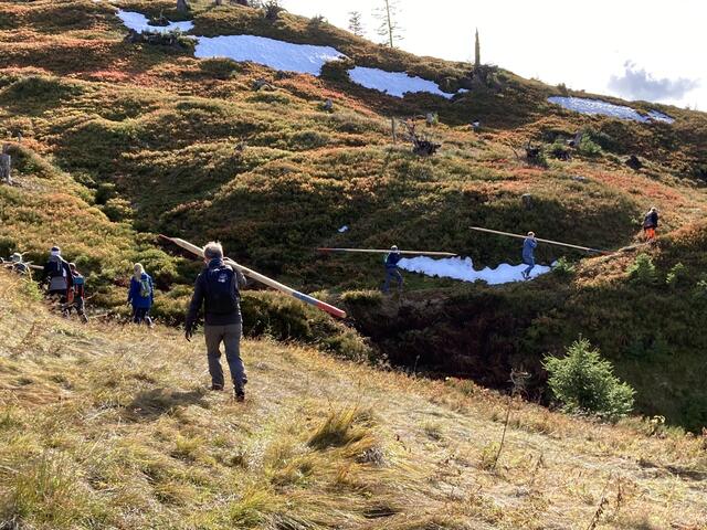 Durch die Initiative "Naturschutz Teamwork" können ab sofort Firmen Verantwortung übernehmen und einen Beitrag für die Gesellschaft oder den Umweltschutz leisten. | Foto: Christian Leimberger
