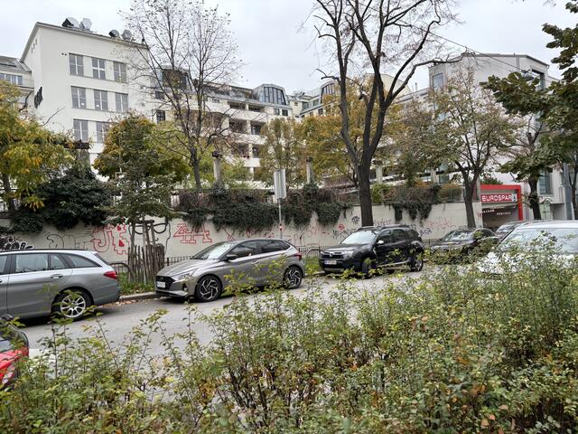 Auch für eine Evaluation der Parkplatzsituation möchte sich Hejduk stark machen. | Foto: Tamara Winterthaler/MeinBezirk