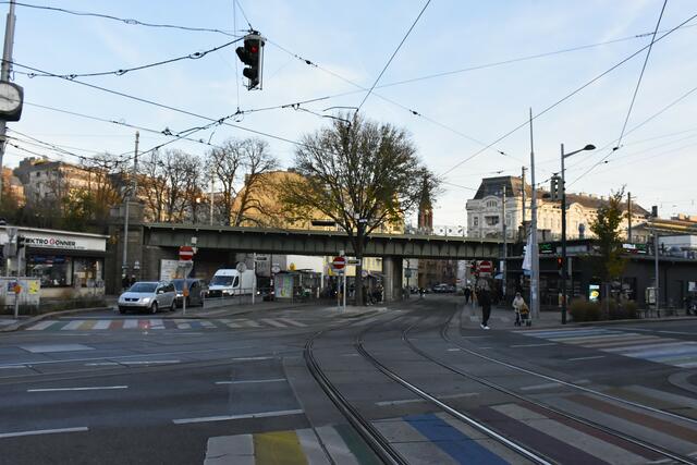 Die Ulme ragt schon von Weitem hervor und ist ikonisch am Gersthofer Platzl.  | Foto: BV18