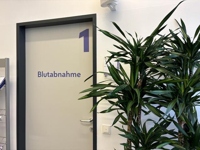Foto: Kriechbaum/MeinBezirk