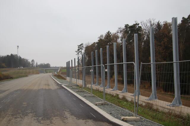 Hier entstehen Anti-Kollisionswände, die Fledermäuse von ihrem Weg abbringen sollen. | Foto: Martin Wurglits