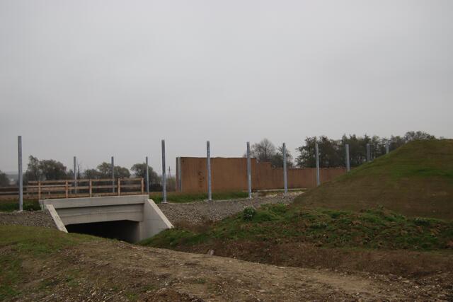 Foto: Martin Wurglits