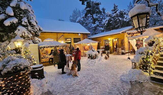 Weihnachtlich ist die Stimmung beim Hundeweihnachtsmarkt im Gastgarten des Weinguts Steinklammer.  | Foto: Sabina Buchner