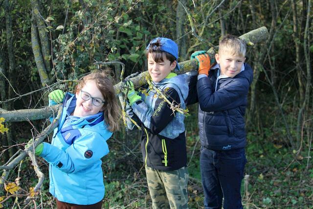 Die Wiesen Floridsdorfs wurden für den Winter vorbereitet. Einen wichtigen Teil der Arbeit übernahmen Schülerinnen und Schüler aus Floridsdorf. | Foto: LPV/F. Hohn
