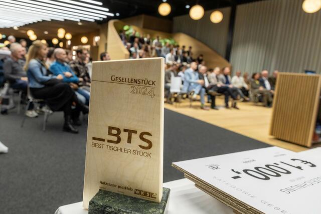 Insgesamt sechs Preise wurden am Donnerstag in der Salzburger Moon City vergeben. | Foto: Holzcluster Salzburg/Neumayr/Chris Hofer