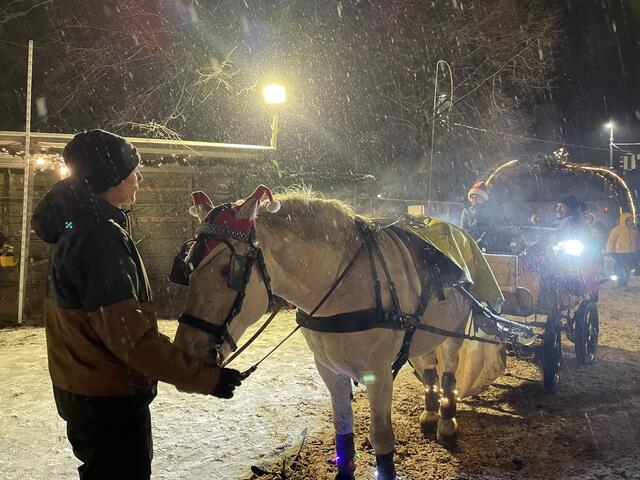 Kutschenfahrt im Schnee | Foto: Martina Schweller