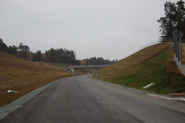Im Waldgebiet auf Königsdorfer Hotter wurde die Fahrbahn bis zu zehn Meter tief ins Gelände eingeschnitten. | Foto: Martin Wurglits