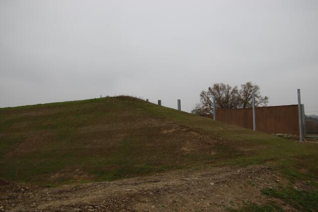 Foto: Martin Wurglits