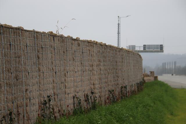 Foto: Martin Wurglits