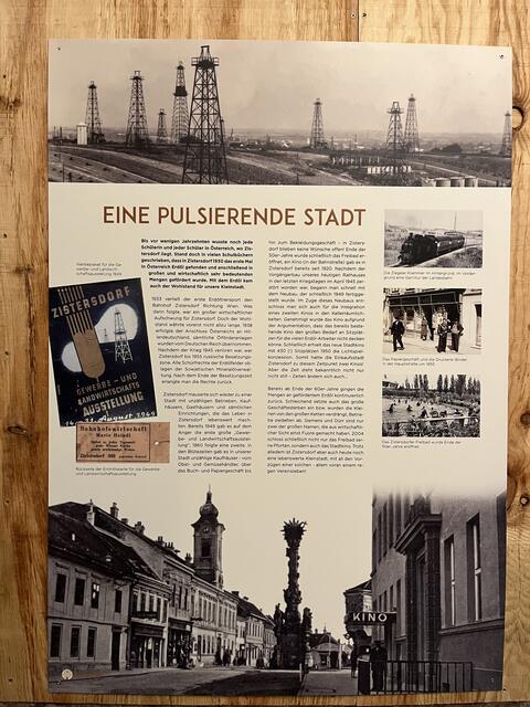 Foto: Mag. Wilma Langer-Bruckner BEd.