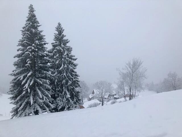 Schnee am Mittwoch: Während es in der Südhälfte des Landes lange trüb und regnerisch bleibt, fällt Schnee teils bis in die Täler.  | Foto: Hackl