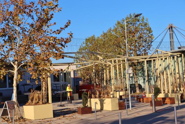 Noch zeigt sich das Blätterdach in spätherbstlichen Farben. Im Frühjahr blühen hier tausend Blumenzwiebeln. In drei Jahren rankt die Pfeifenwinde über das Rankgerüst und spendet im Sommer Schatten. Geschaffen wurde damit ein gemütlicher Platz zum Verweilen zwischen Kirche und Veranstaltungshalle, aber auch eine Freiluftbühne für vielfältige Zwecke.  | Foto: Edith Ertl
