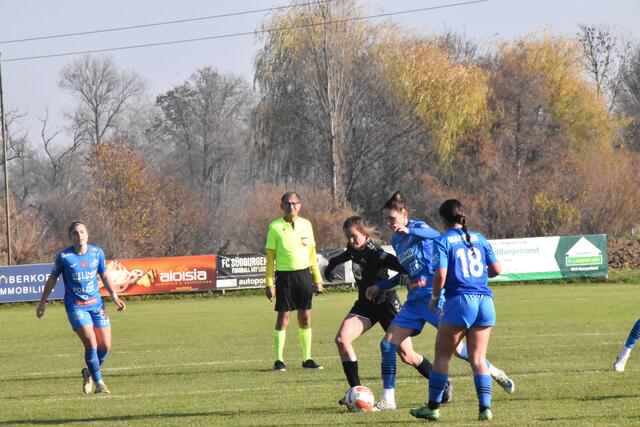 Foto: Michael Strini