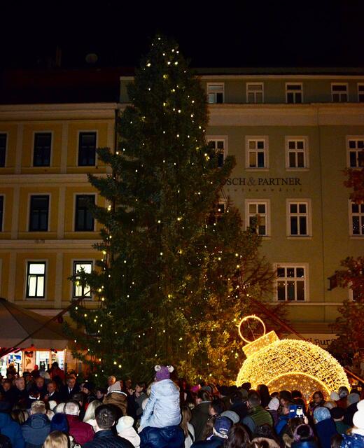 Foto: Sascha Trimmel